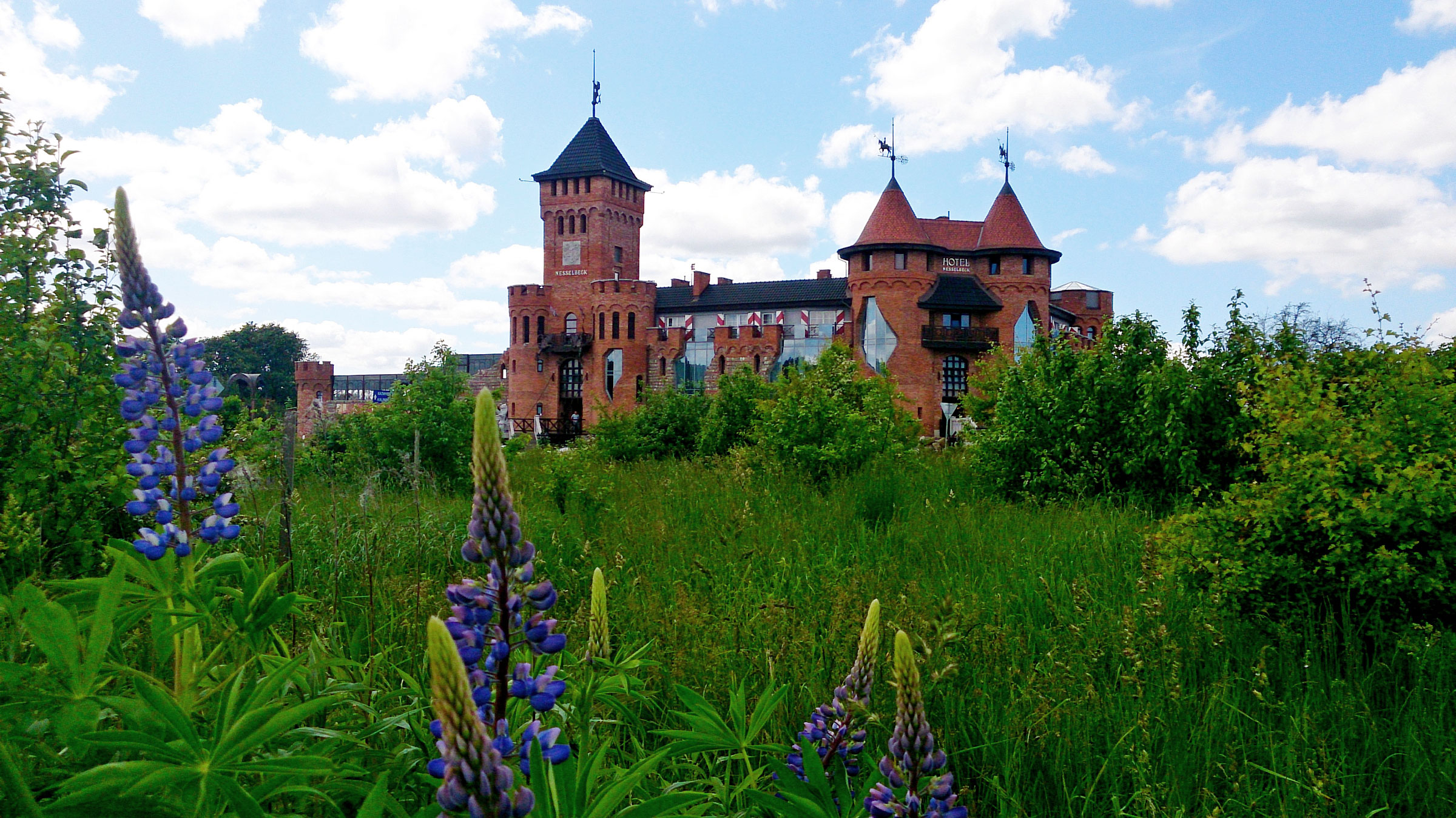 Nesselbeck, Orlovka (Нессельбек, Орловка, Калининград)